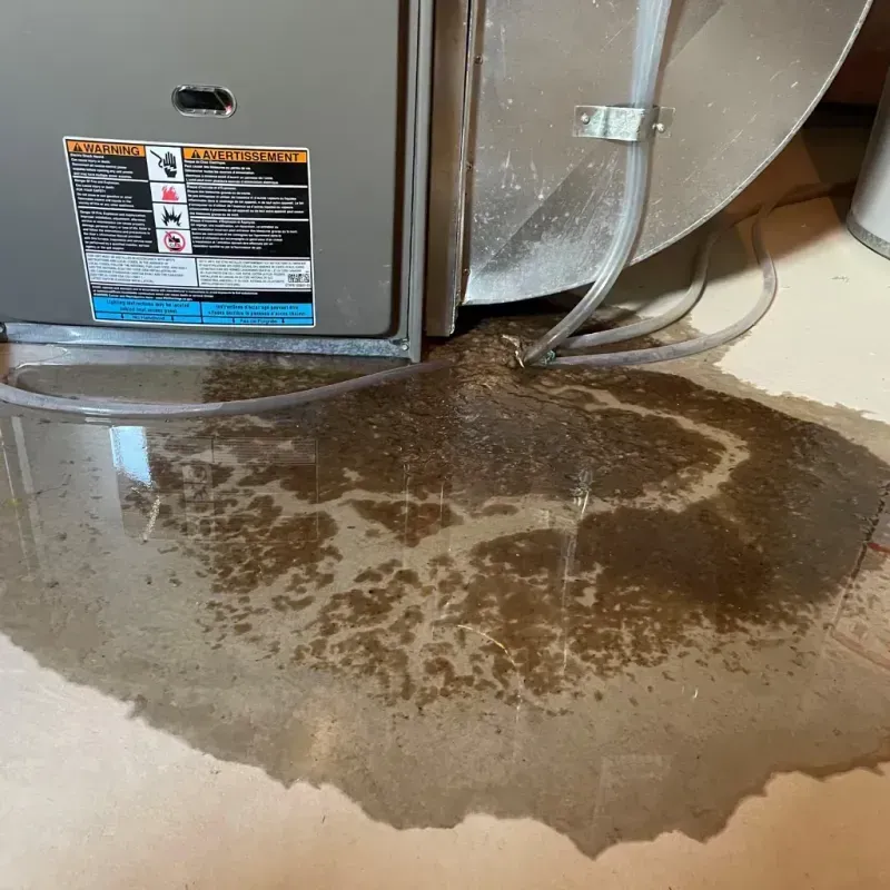 Appliance Leak Cleanup in Stateburg, SC